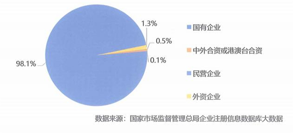 翻譯及語(yǔ)言服務(wù)企業(yè)所有制性質(zhì)情況